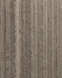 Façade stratifiée effet bois Tilleul Cendré